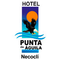 Hotel Punta de Aguila