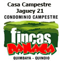 Fincas Panaca Jaguey 21
