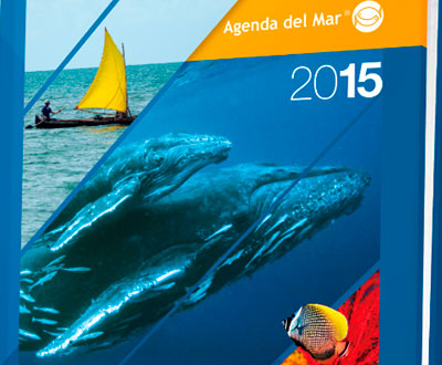 Tiburones, ballenas, tortugas y más, en la Agenda del Mar 2015