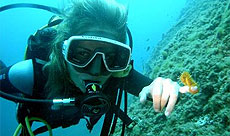 <i>Reef Check</i> en el Parque Nacional Nautal Tayrona