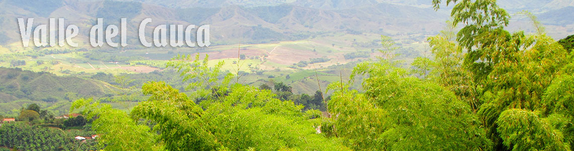 Valle del Cauca