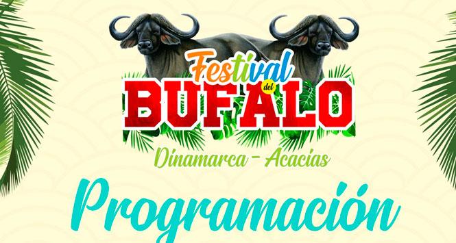 Festival del Búfalo 2022 en Acacías, Meta