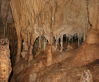 Parque Cueva de los Guácharos