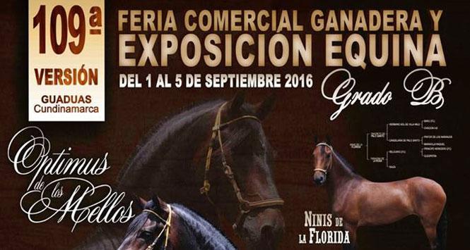 Feria Comercial Ganadera y Exposición Equina 2016 en Guaduas, Cundinamarca