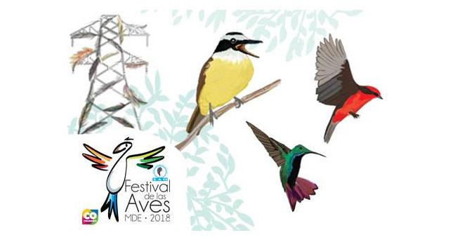 Festival de las Aves en Medellín 2018