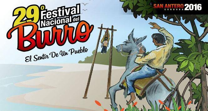 Festival Nacional del Burro 2016 en San Antero, Córdoba