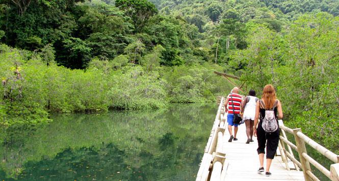 Habilitan nuevo sendero turístico en el PNN Ensenada de Utría