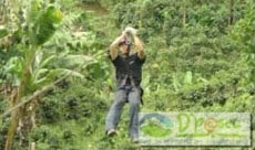 Canopy en El Bosque