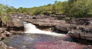 Caño Cristales