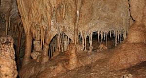 Parque Cueva de los Guácharos