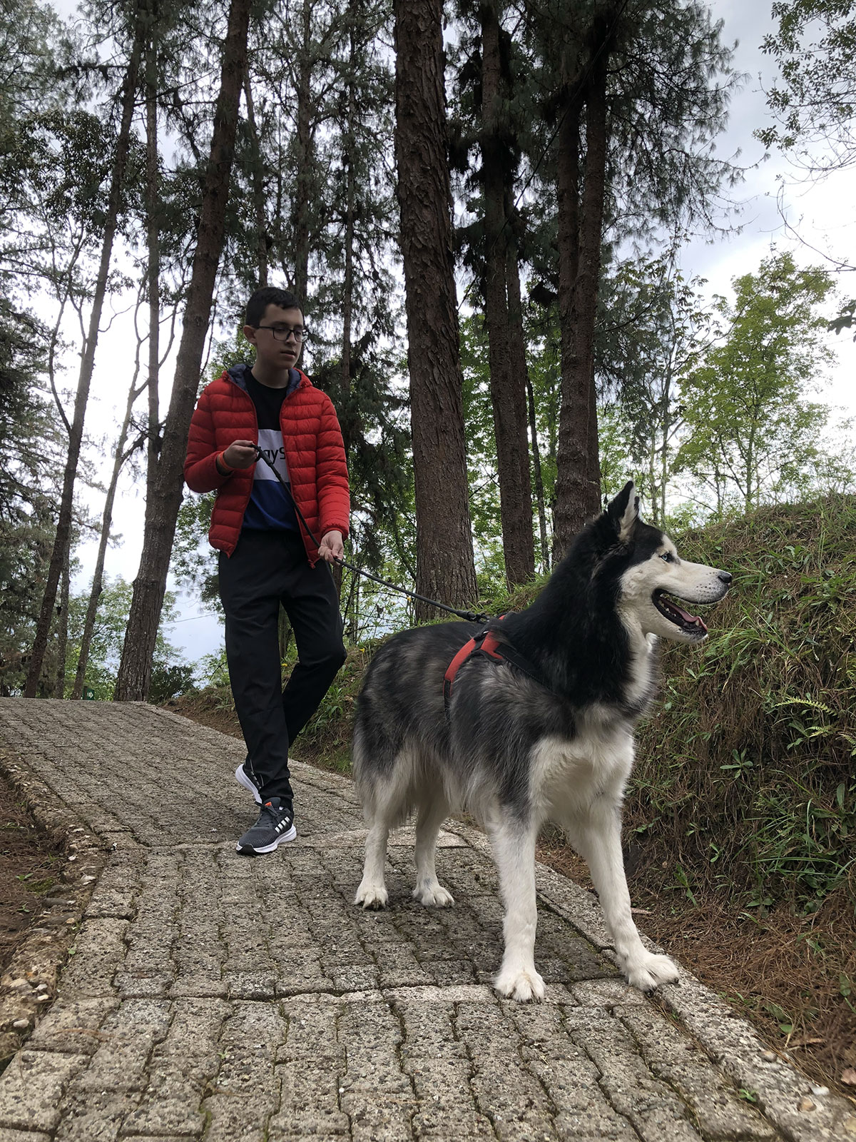 viaja por colombia con mascotas petfriendly