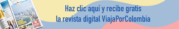 VXC - Revista
