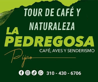 Pedregosa - 336x280